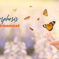 diskusi-stroomnet-by-pln-icon