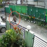 terekam-cctv-aksi-jambret-di-daerah-depok-ini-terbilang-nekat