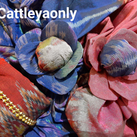 ukm-kebanggaan-gansis-sini-mejeng-di-community-challenge