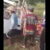 ngebut-di-tikungan-truk-pengangkut-ayam-terlempar-dari-jalan-tol