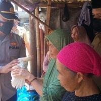 langkah-unik-forkopimcam-pacet-memberi-ayam-broiler-kepada-lansia-yang-siap-divaksin
