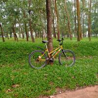 pamerin-sepeda-dimarih---part-1