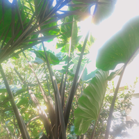 fresh-chapter-of-dear-diary---part-3