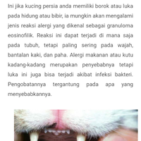 cat-lovers-kaskus-read-page-1-first---part-5