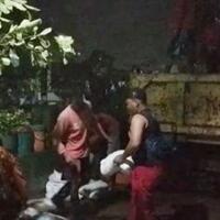 lamban-pemprov-banten-baru-cek-longsor-di-kali-ciputat