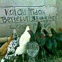 penemuan-telur-ayam-berusia-seribu-tahun-ditemukan-di-israel-ini-bentuk-telurnya