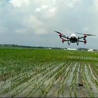 pakai-teknologi-drone-cara-maksimalkan-pertanian-di-probolinggo