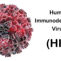 lebih-23-ribu-warga-sulsel-mengidap-hiv-aids-sudirman--menular-seperti-covid-19