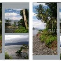 foto-foto-bukti-tsunami-di-maluku-tengah-pantai-longsor-pohon-kelapa-tumbang