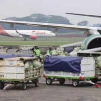 digitalisasi-pengelolaan-gudang-di-bandara-ritase-bantu-apsd