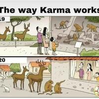 kejam-seekor-gajah-dieksploitasi-untuk-membawa-batang-pohon-di-hutan