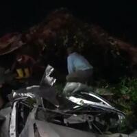 pohon-raksasa-tumbang-timpa-mobil-yang-sedang-parkir-1-tewas-dan-2-luka-berat
