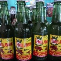 sejarah-quotsoft-drinkquot-temulawak