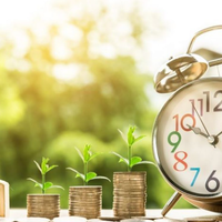 mempersiapkan-masa-depan-penuh-perencanaan-dengan-usaha-dan-investasi-ternak