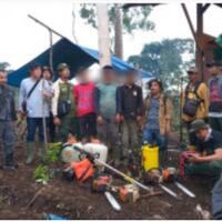 rusak-kawasan-rimba-4-pelaku-berhasil-ditangkap--bksda-jabar-menemukan-katak-langka