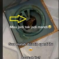 hendak-mandi-pria-ini-urungkan-niat-ada-mata-memandang-dari-lubang-pembuangan