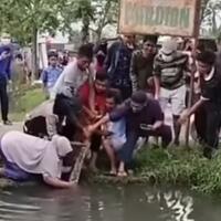 viral-emak-pemberani-tangkap-ular-di-selokan-bersama-kaum-pria-ini-aksi-berbahaya