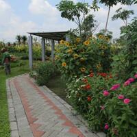kasus-covid-19-melonjak-semua-taman-di-surabaya-tutup-sementara