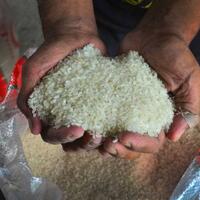 cegah-stunting-m-tani-bikin-beras-sego-wangi-plus