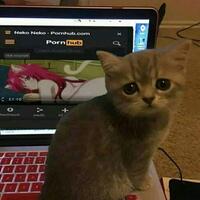 robolife-days-with-aino-game-robot-cantik-yang-bisa-membuat-harimu-lebih-cerah