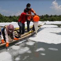 lapor-walhi-dan-gubernur-terkait-pt-greenfields-blitar-ini-alasan-dprd-jatim