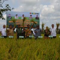 mencerdaskan-petani-desa-menjadi-petani-millenial-sebuah-revolusi-pertanian