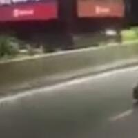 heboh-pria-shalat-di-tengah-jalan-raya-sah-atau-tidak-ini-penjelasannya