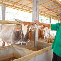 qurban-saat-ppkm-darurat-semua-bisa-dilakukan-dari-rumah-lewat-laznas-bsmu