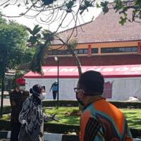 dapur-umum-di-bandung-mengecewakan-risma-saya-pindah-semua-ke-papua