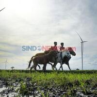 butuh-duit-di-atas-rp1000-triliun-karpet-merah-ebt-jadi-wajib