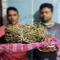 bawa-2-kg-ganja-kering-siap-edar-2-orang-warga-pidie-jaya-diringkus-polisi