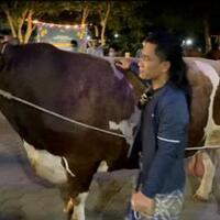 idul-adha-1442-h-ponpes-gus-miftah-sembelih-19-sapi--50-kambing