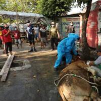 naik-sepeda-gubernur-ganjar-keliling-kampung-waspada-klaster-kurban