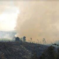 sulit-dijangkau-50-hektare-hutan-lindung-bukit-suligi-riau-ludes-terbakar