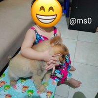 post-image