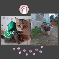 fresh-chapter-of-dear-diary---part-3