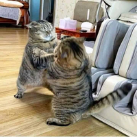 fresh-chapter-of-dear-diary---part-3