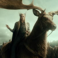 bisakah-manusia-menunggangi-rusa