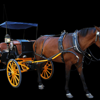 lagu-naik-delman-kenangan-yang-bikin-ngakak