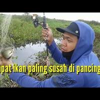 mancing-jaring-dapat-ikan-tembakang-banyak-hoak-itu