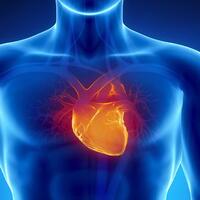 apa-jadinya-jika-jantung-manusia-berhenti-1-detik-saja