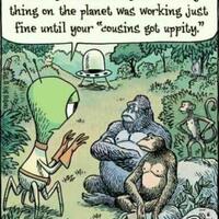 kelompoksimpansedan-gorila-tawuran-apakah-alam-liar-mulai-rusak