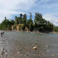 sensasi-wisata-sungai-eksotis-di-pedalaman-aceh-dengan-oleh-oleh-ikan-kerling-asap