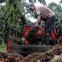 gak-kaleng-kaleng-seabrek-produk-ri-bikin-resah-asean-eropa