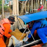 3-hari-menghilang-balita-di-banyuasin-akhirnya-ditemukan-di-semak-belukar