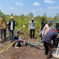 brgm-targetkan-rehabilitasi-600000-ha-lahan-mangrove