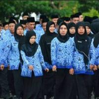 survei-kemenpan-rb-87-asn-ingin-berkarir-sampai-pensiun