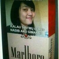 rokok-filter-vs-kretek-mana-yang-lebih-berbahaya