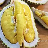 3-durian-terenak-dan-termahal-nomor-2-dari-indonesia