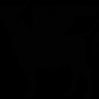 prof-megawati-nyari-nyari-ganjar-quotsaya-dari-awal-jadikan-kamu-gubernur